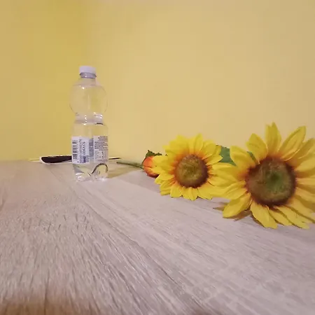 Couette-café A1 Girasole