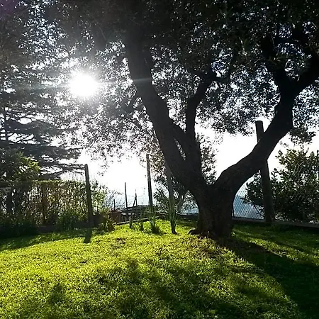 Alojamento de Acomodação e Pequeno-almoço A1 Girasole 3*