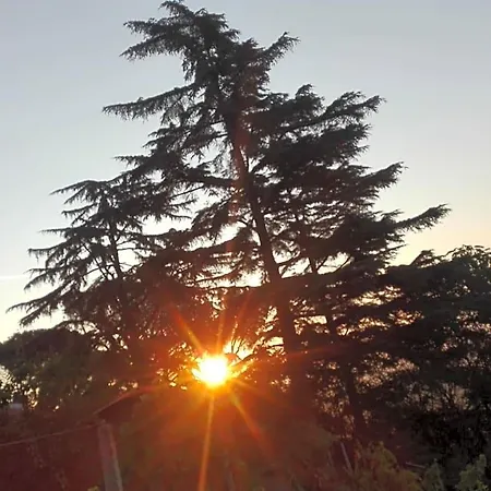 A1 Girasole Alojamento de Acomodação e Pequeno-almoço Castelnuovo Di Porto
