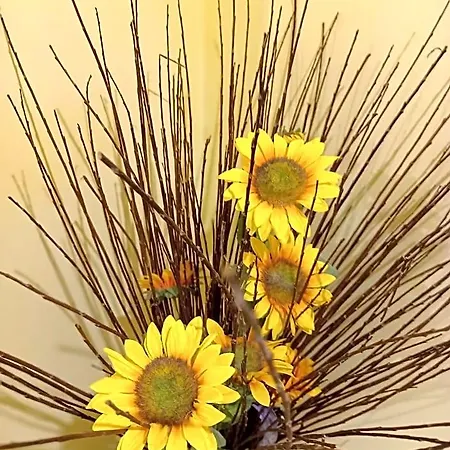 A1 Girasole Castelnuovo Di Porto