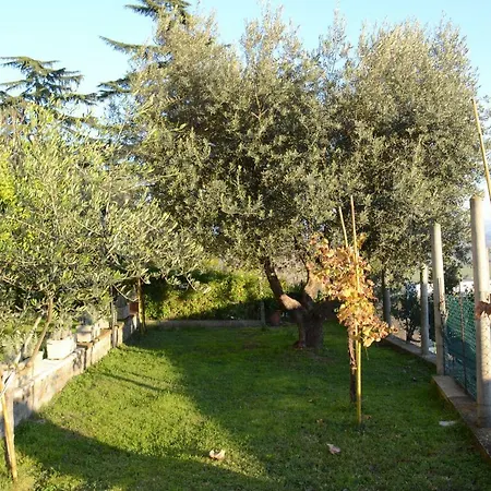 A1 Girasole