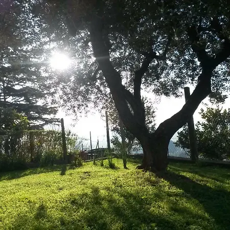 A1 Girasole Bed & Breakfast Castelnuovo Di Porto