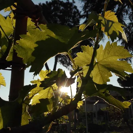 A1 Girasole Castelnuovo Di Porto